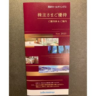 西武　株主優待　共通券　10枚他　西武ホールディングス　優待券(その他)