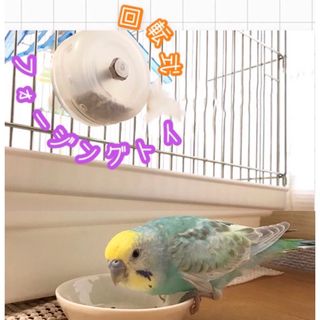 フォージングトイ★インコや文鳥の小鳥のハンドメイドおもちゃ　バードトイ　(おもちゃ/ペット小物)