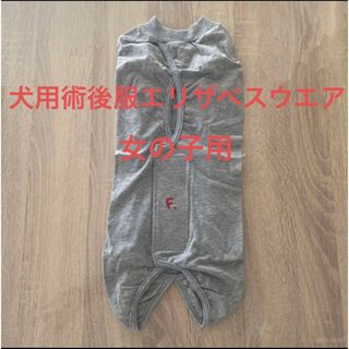 新品！犬　女の子　術後服　N3Ｌ　グレー(犬)