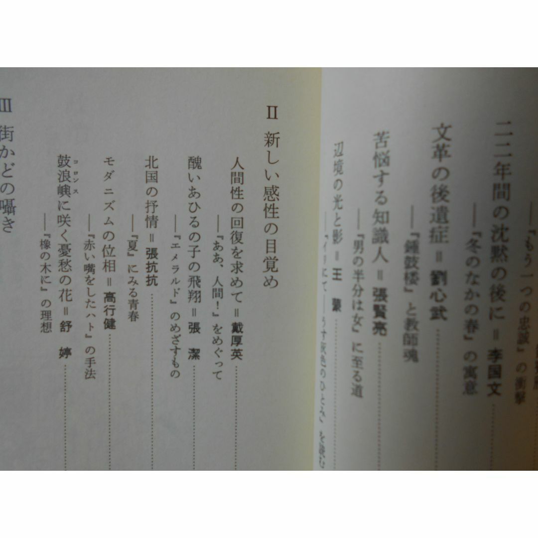 中国文学最新事情 エンタメ/ホビーの本(文学/小説)の商品写真