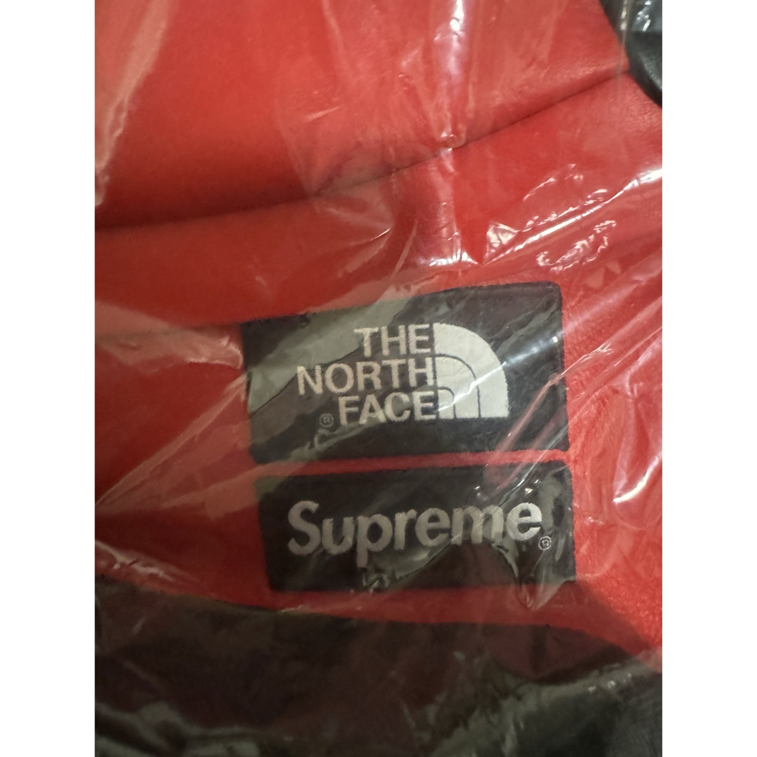 Supreme(シュプリーム)のSupreme North Face Leather Back Pack RED メンズのバッグ(バッグパック/リュック)の商品写真