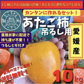 【先着15名】愛媛県産　特大玉　高級干柿にも使われる　渋柿　愛宕柿10Kg(フルーツ)