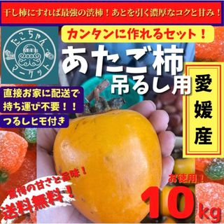 【先着15名】愛媛県産　特大玉　高級干柿にも使われる　渋柿　愛宕柿10Kg(フルーツ)