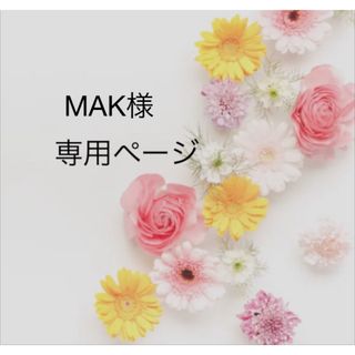 MAK様専用ページ(鳥)