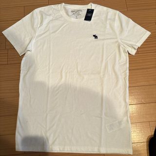 アバクロンビーアンドフィッチ(Abercrombie&Fitch)のメンズTシャツです(シャツ)