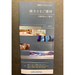 西武　株主優待　共通券　5枚他　西武ホールディングス　優待券(その他)