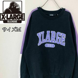 エクストララージ(XLARGE)の【激レア】エクストラージ スウェット サイズM　PANELED ブラック(スウェット)