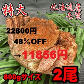 【特大】毛蟹　2尾（800ｇサイズ）　北海道産　ボイル　付け足　冷凍　お中元(魚介)