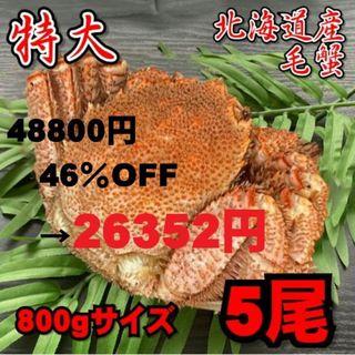 【特大】毛蟹　5尾（800ｇサイズ）　北海道産　ボイル　付け足　冷凍　お中元(魚介)