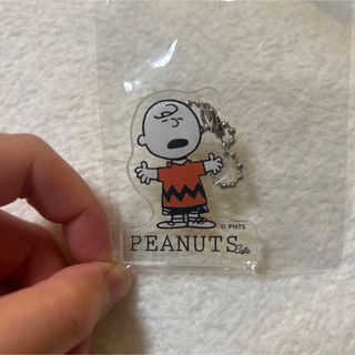 スヌーピー(SNOOPY)のチャーリーブラウン♡博多限定♡(キャラクターグッズ)