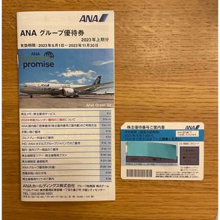 エーエヌエー(ゼンニッポンクウユ)(ANA(全日本空輸))のANA株主優待券(その他)