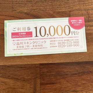 品川スキンクリニック ご利用券 1万円分(その他)