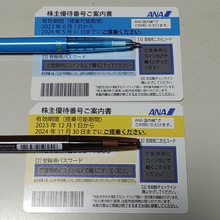 ANA 往復分 2枚 航空券 半額 飛行機 50％ 株主優待 旅行 交通費 割引(航空券)