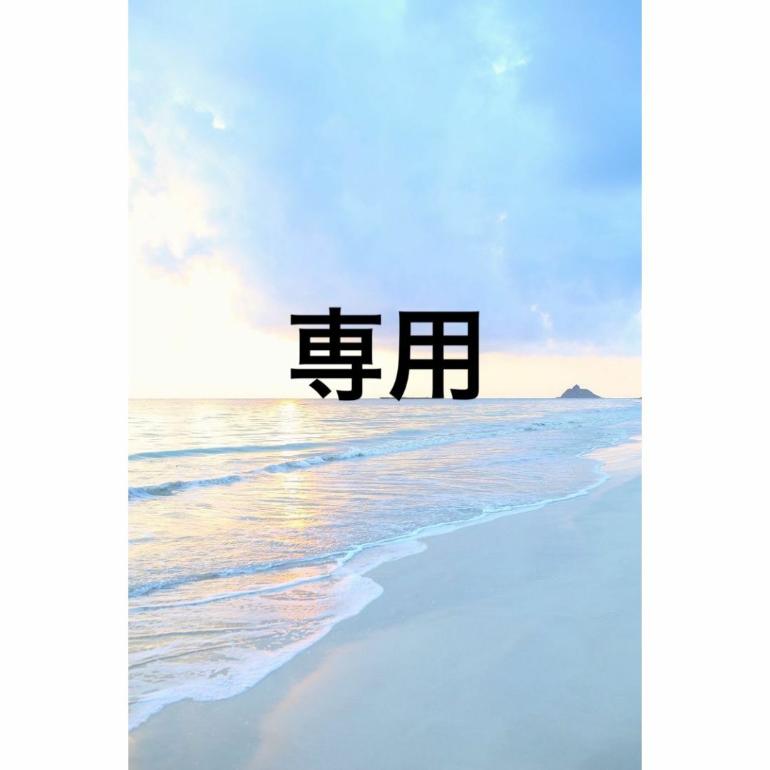 LeSportsac - さーきちママ