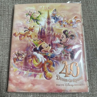 ディズニー(Disney)のディズニーランド40周年　スーベニアメダルケース(キャラクターグッズ)