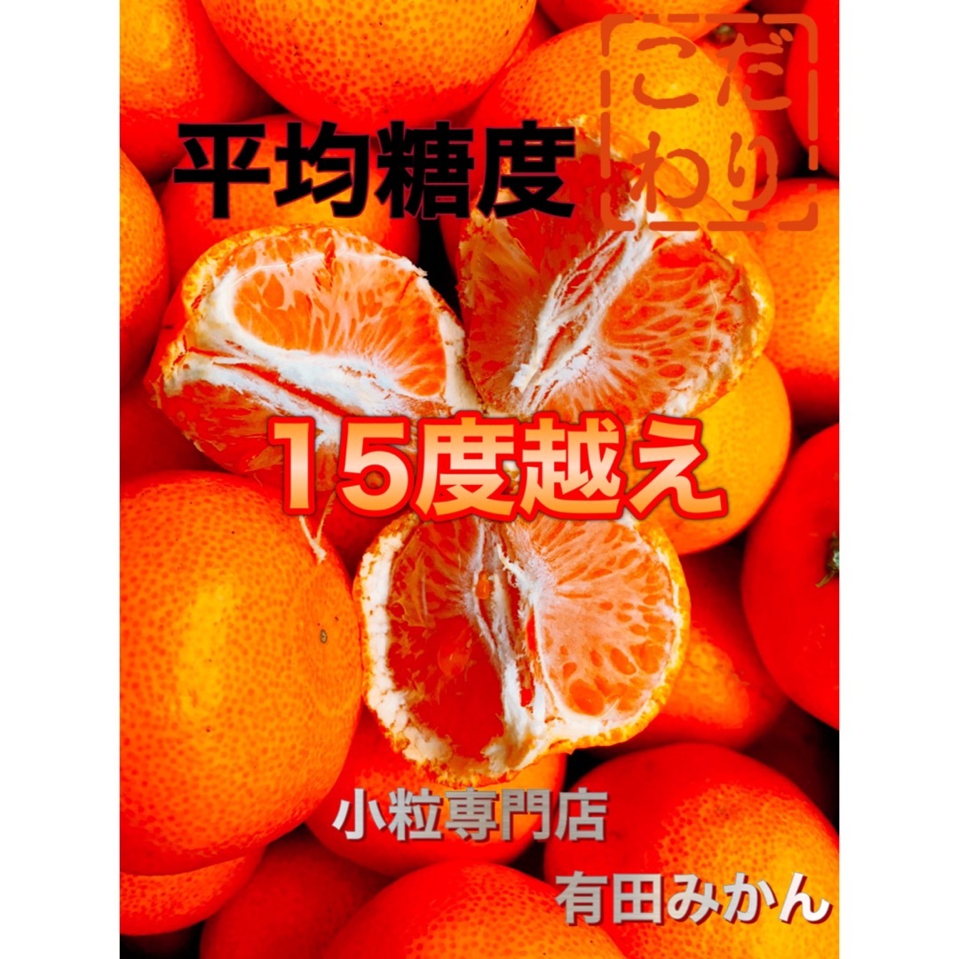 糖度15度越え　プレミアムみかんキング　旬味有田みかん　宮川早生 　2Kg 食品/飲料/酒の食品(フルーツ)の商品写真