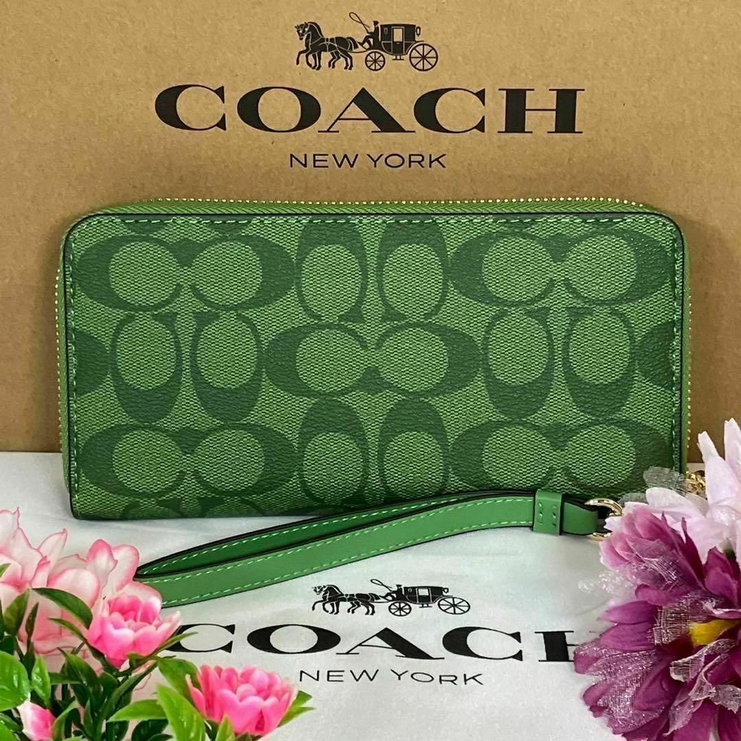 本物保証! 新品 未使用 coach コーチ 長財布 グリーン シグネチャー