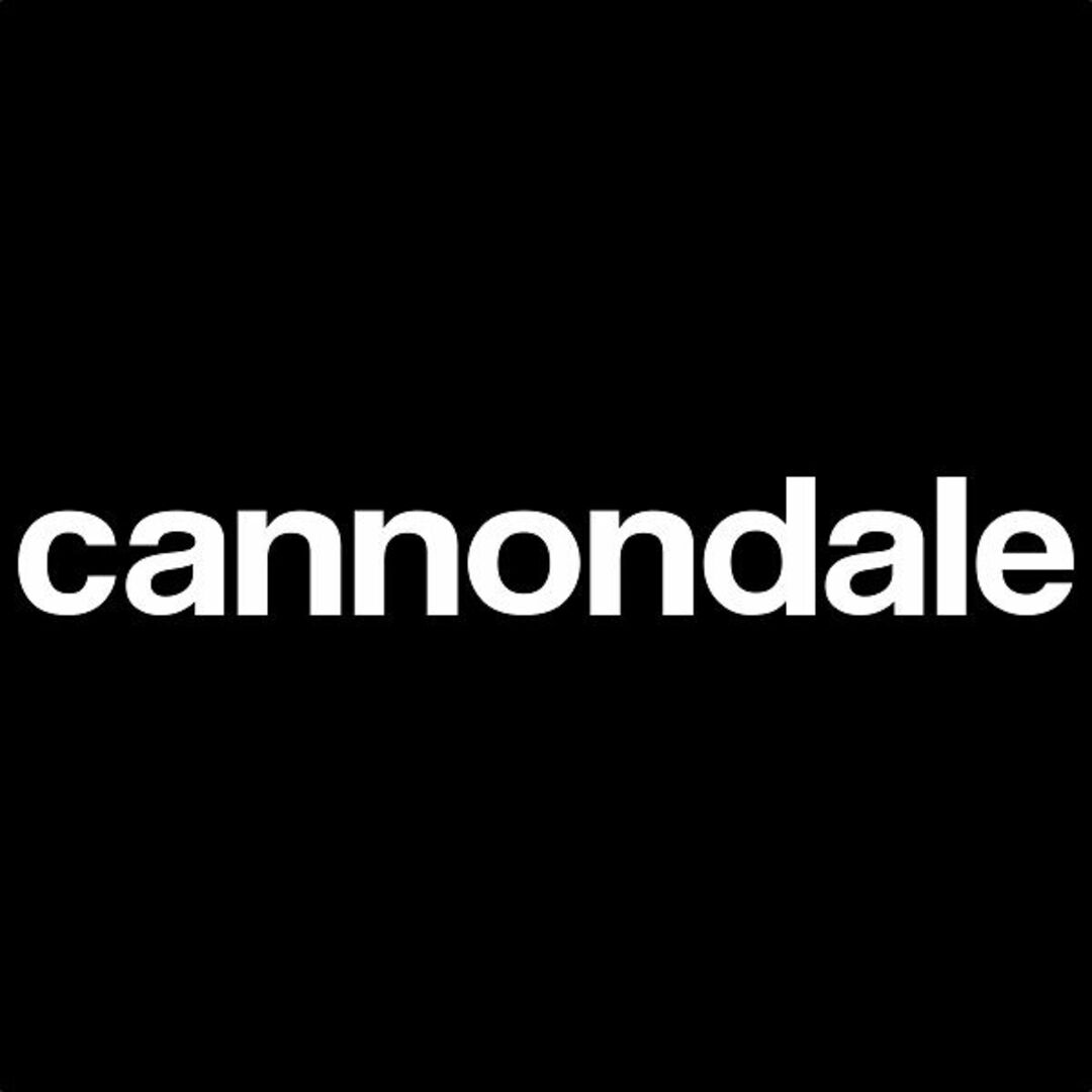 Cannondale(キャノンデール)の2枚セット カッティングステッカー キャノンデール その他のその他(その他)の商品写真