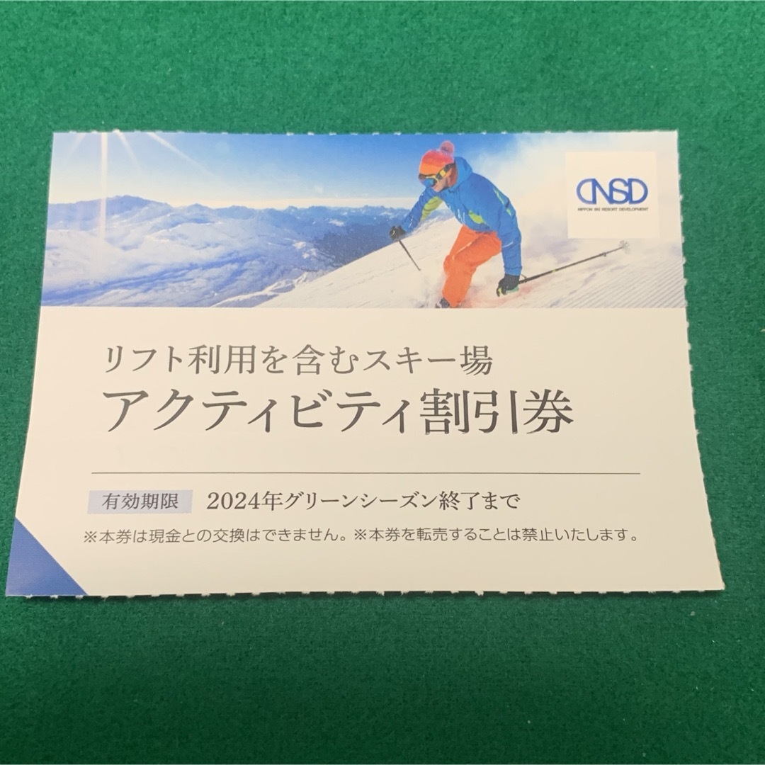 日本駐車場開発 株主優待 アクティビティ割引券 リフト券 - スキー場