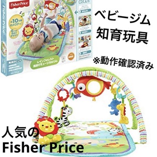 フィッシャープライス(Fisher-Price)のフィッシャープライス(fisher price)   0カ月~  知育玩具(ベビージム)