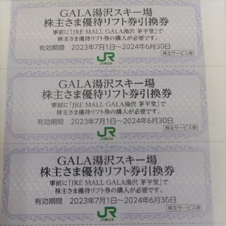 ジェイアール(JR)のJR東日本優待券のGALA湯沢スキー場リフト20%割引券12枚300円(スキー場)
