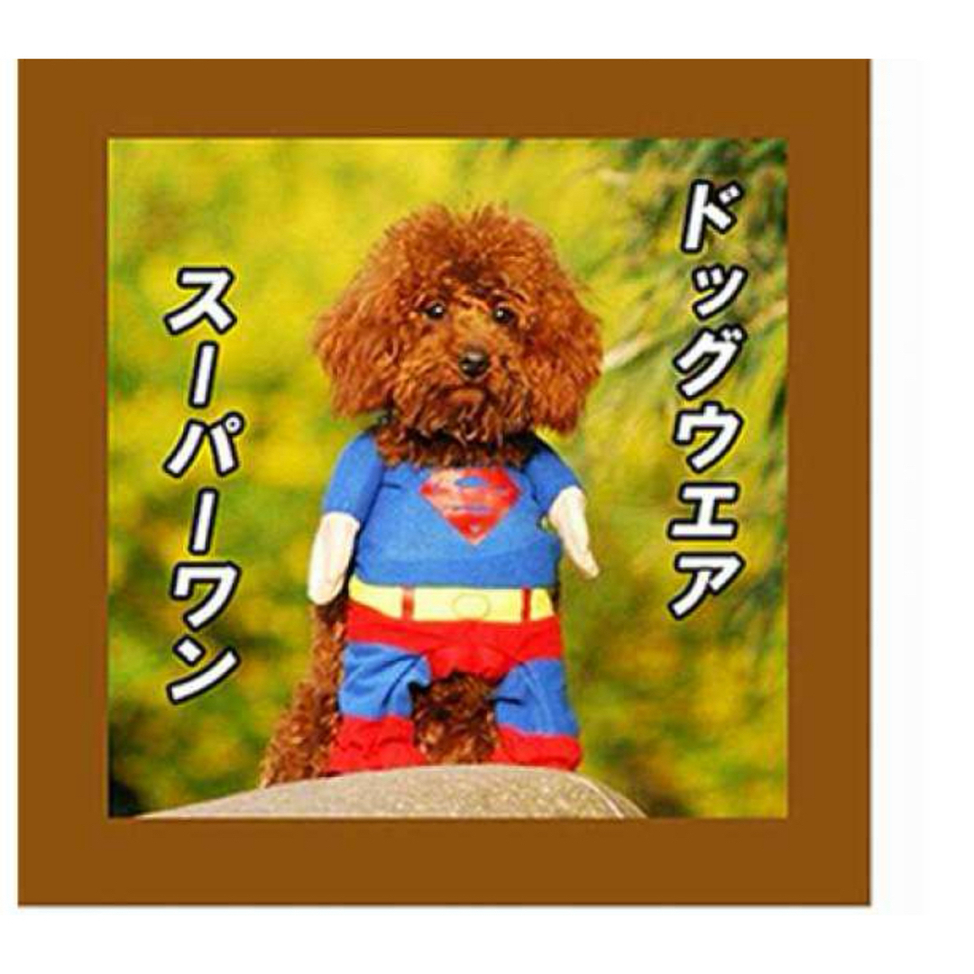 犬　ペット　スーパーマン　チャッキー　セット ハンドメイドのペット(ペット服/アクセサリー)の商品写真