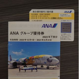 エーエヌエー(ゼンニッポンクウユ)(ANA(全日本空輸))のANA 株主優待　グループ優待券(その他)