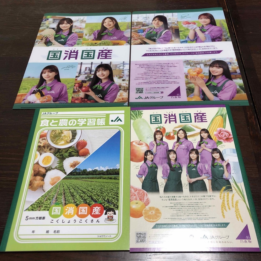 乃木坂46(ノギザカフォーティーシックス)の乃木坂46 非売品　アイドルグッズ エンタメ/ホビーのタレントグッズ(アイドルグッズ)の商品写真