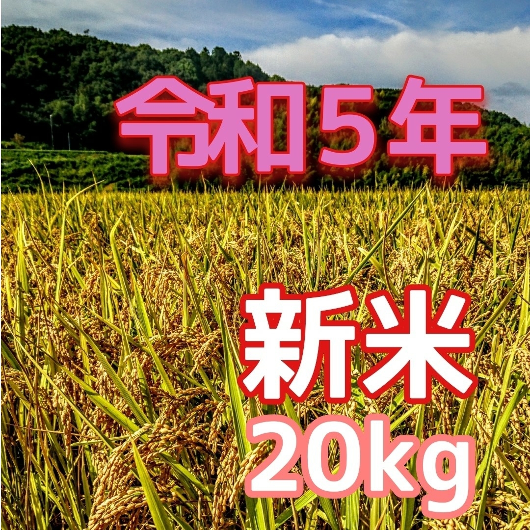 令和５年産新米 低農薬玄米２０キロ 山田錦の里より農家直送　(精米サービス中)キヌヒカリ内容量