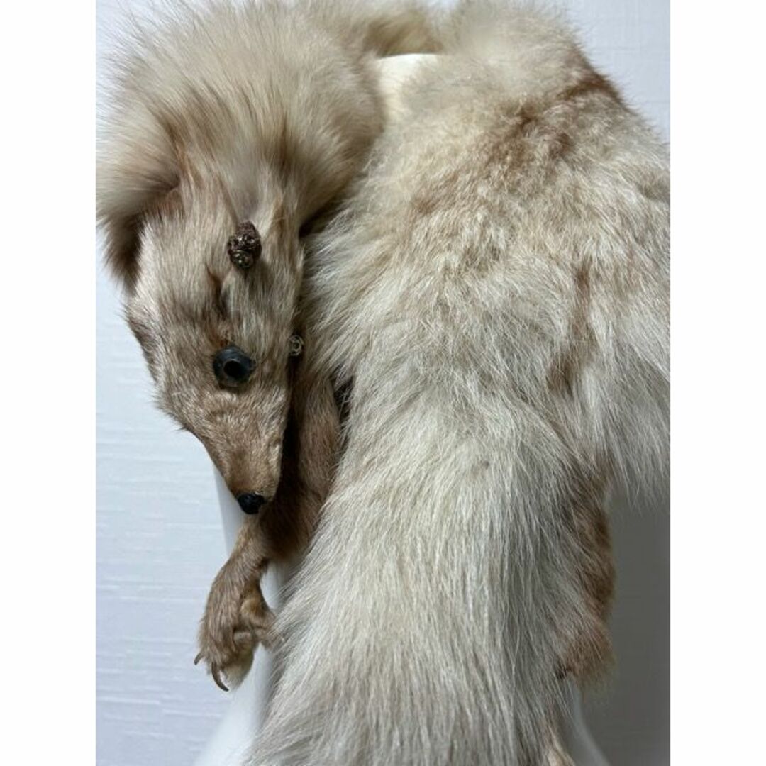 0690 フォックス 毛皮 ショール 顔付き 成人式 ファーの通販 by 0690 フォックス 毛皮 ショール 顔付き 成人式 ファーの通販 by