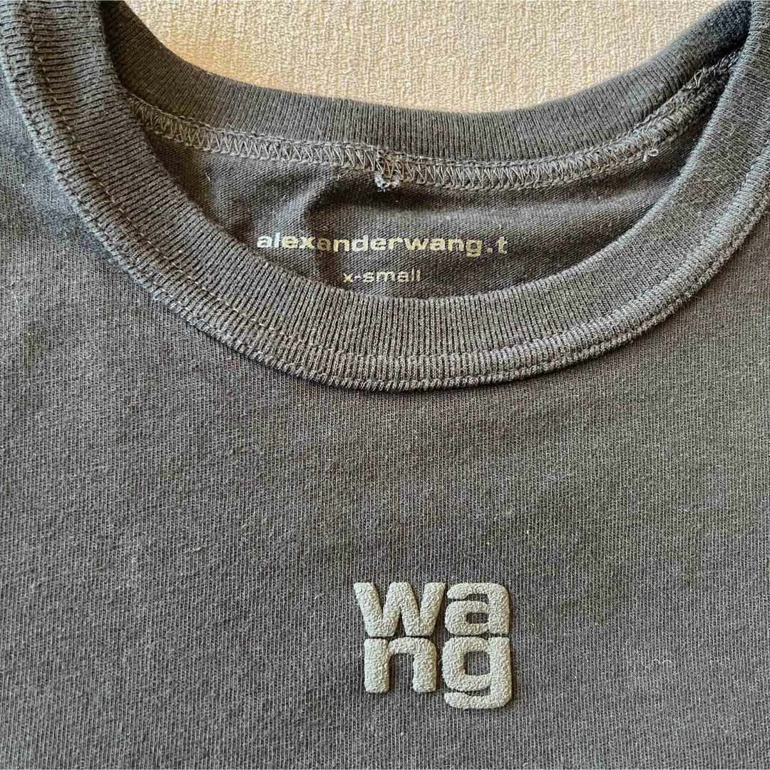 Alexander Wang(アレキサンダーワン)のALEXANDER WANG レデース Tシャツ xs レディースのトップス(カットソー(半袖/袖なし))の商品写真