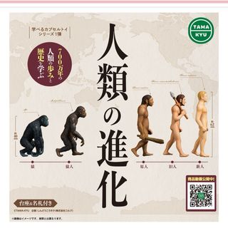 人類の進化 ガチャ 猿人だけ不足(その他)