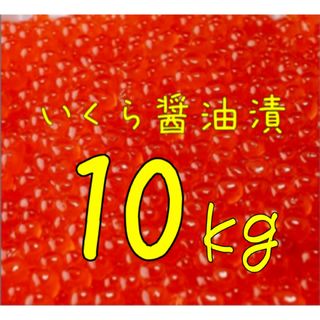 送料込み！いくら醤油漬 10kg(魚介)