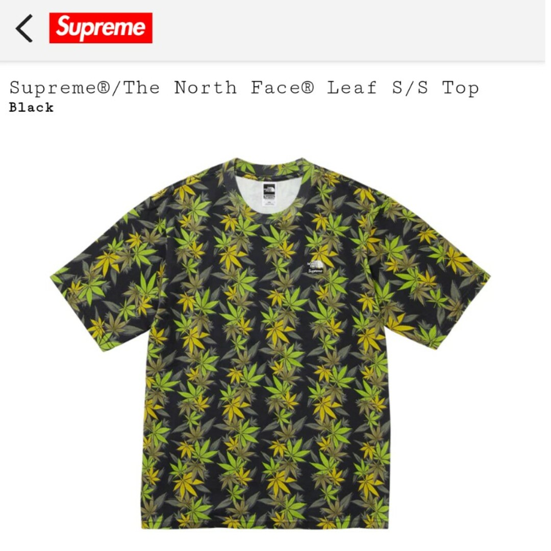 トップスsupreme The North Face Leaf S/S Top