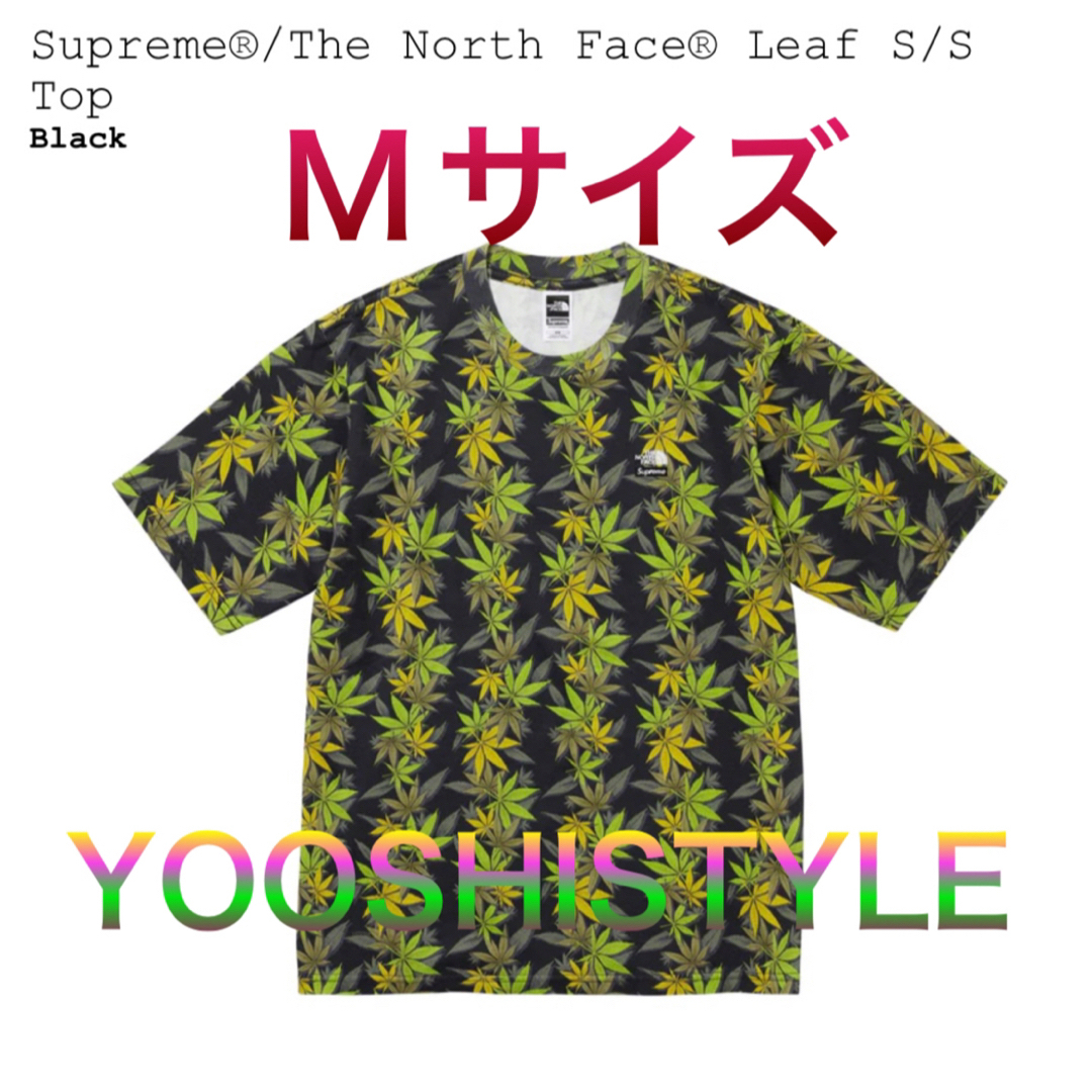 Supreme(シュプリーム)のSupreme The North Face Leaf S/S Top メンズのトップス(Tシャツ/カットソー(半袖/袖なし))の商品写真