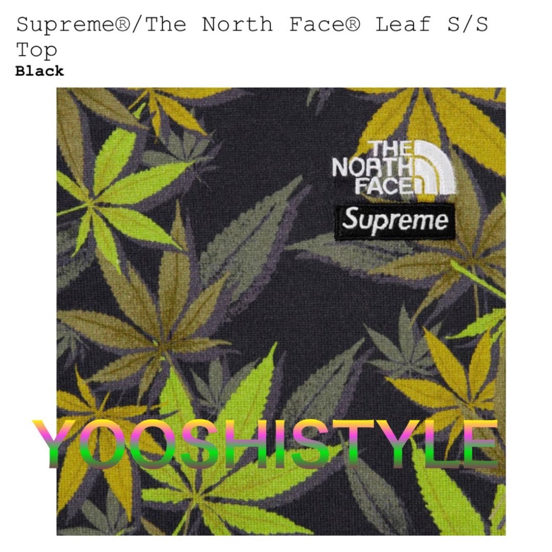 Supreme(シュプリーム)のSupreme The North Face Leaf S/S Top メンズのトップス(Tシャツ/カットソー(半袖/袖なし))の商品写真