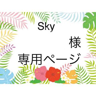 ディズニー(Disney)のSky 様 オーダーページ(その他)