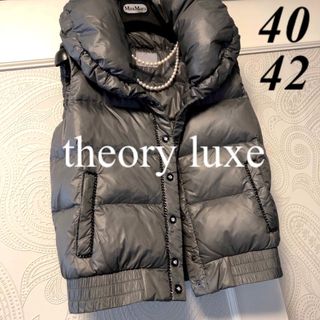 セオリーリュクス(Theory luxe)の40.42大きいサイズ　セオリーリュクス　ビジュー♡女優襟エレガントダウンベスト(ダウンベスト)