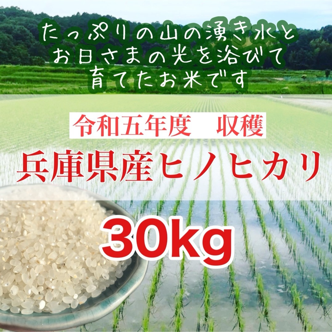 山の湧き水で育てた 農家のお米 兵庫県産ヒノヒカリ 30kg 山の湧き水で育てた 農家のお米 兵庫県産ヒノヒカリ 30kg