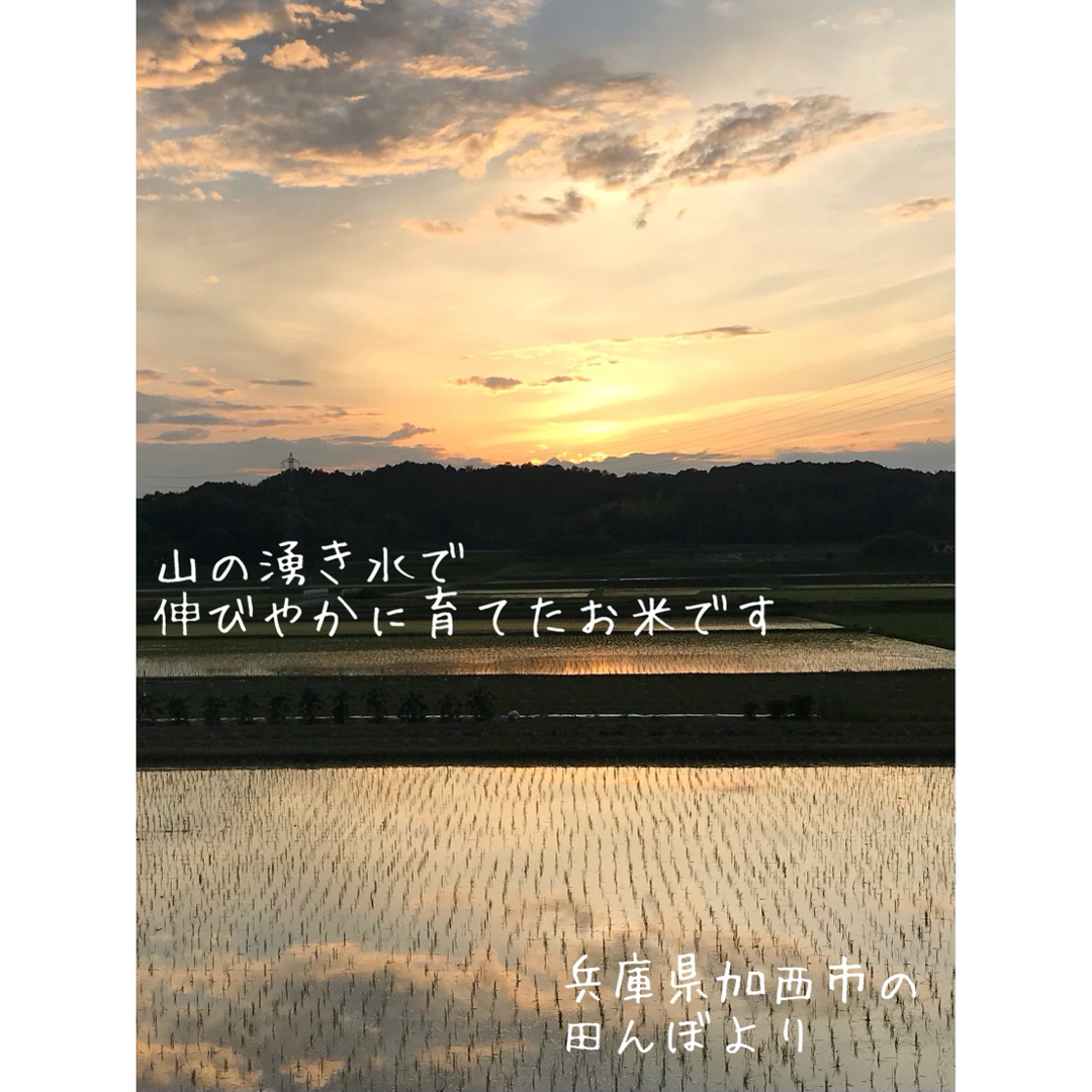 山の湧き水で育てた 農家のお米 兵庫県産ヒノヒカリ 30kg 山の湧き水で育てた 農家のお米 兵庫県産ヒノヒカリ 30kg
