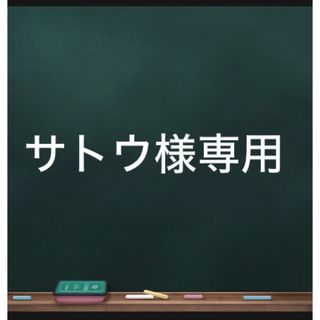 ノース アイロンプリント(その他)