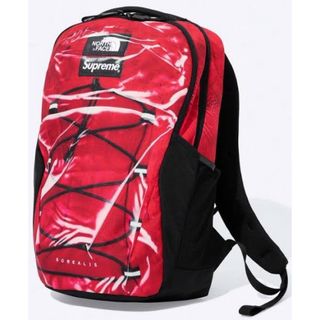 シュプリーム(Supreme)のSupreme  The North Face   Backpack(バッグパック/リュック)