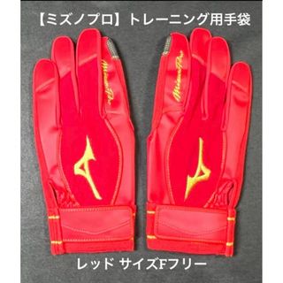 ミズノプロ(Mizuno Pro)の【ミズノプロ】トレーニング用手袋 サイズFフリー 1EJET050(グローブ)