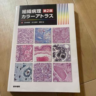 組織病理カラーアトラス(健康/医学)