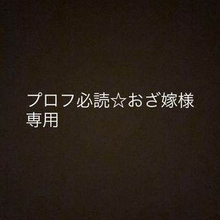 プロフ必読☆おざ嫁様専用(その他)