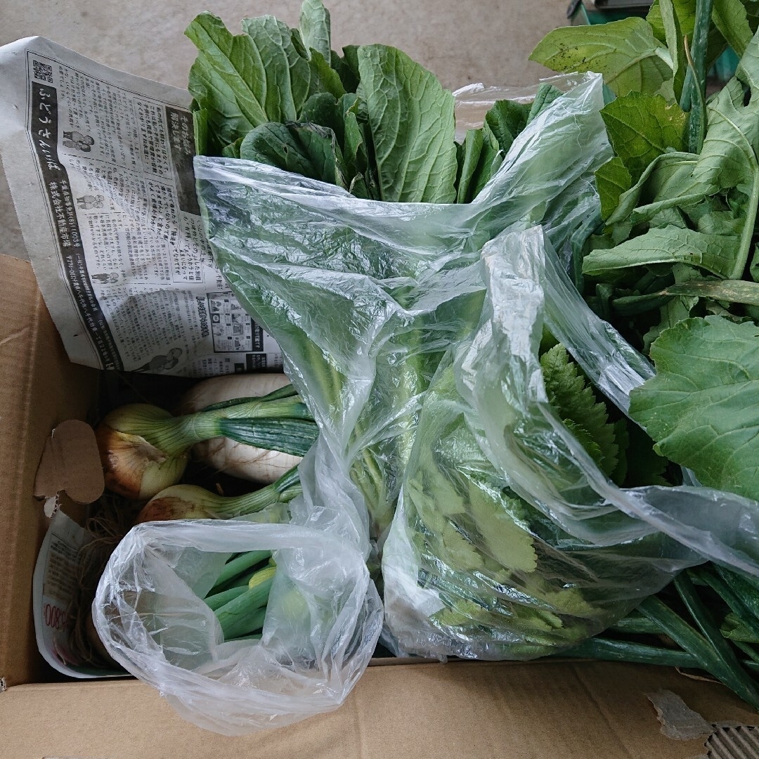 無農薬 冬野菜、果物詰め合わせ 箱込み2キロ | フリマアプリ ラクマ
