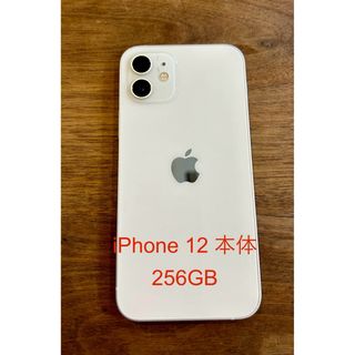 アイフォーン(iPhone)のiPhone 12 本体 256GB ホワイト 美品/充電最大90%(スマートフォン本体)