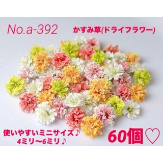 確認用ですNo.a-392かすみ草(ドライフラワー)小さめ4ミリ～6ミリ♡60個(ドライフラワー)