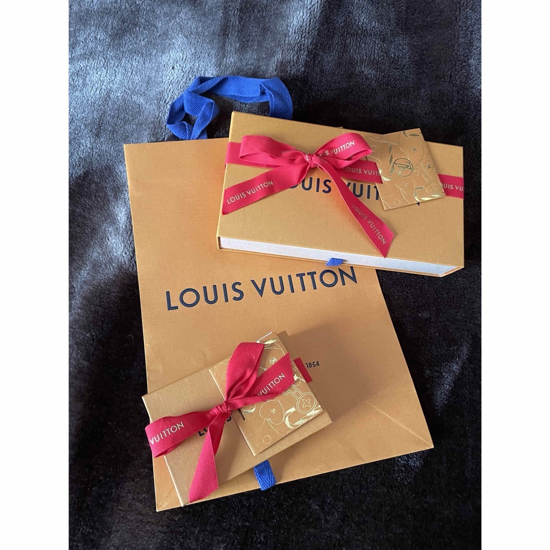 LOUIS VUITTON 箱&ショップ袋 レディースのバッグ(ショップ袋)の商品写真