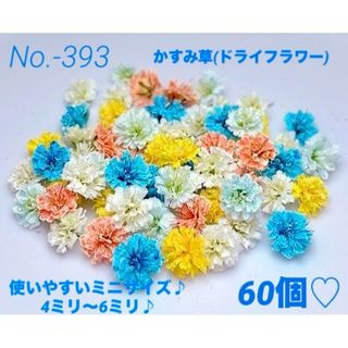 確認用となりますNo.a-393かすみ草(ドライフラワー)4ミリ～6ミリ♪60個(ドライフラワー)